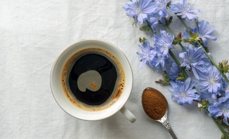 Káva bez kofeinu Melta obsahuje i pražený kořen čekanky