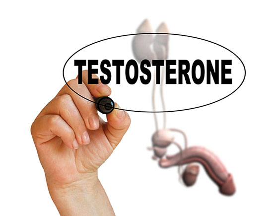 Testosteron a jeho důležitost pro obě pohlaví